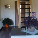 asari 108898947