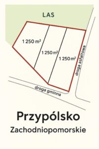 asari 110216313